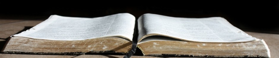 BIBLE BELIEVERS INSTITUTE